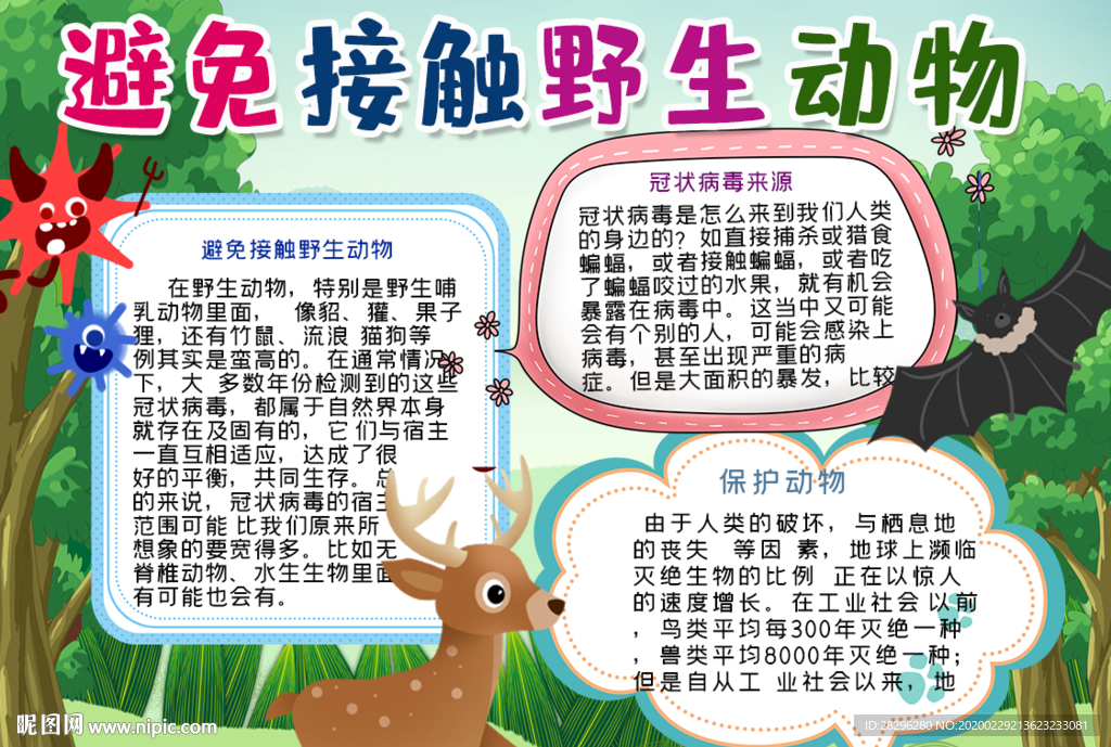避免接触野生动物手抄报