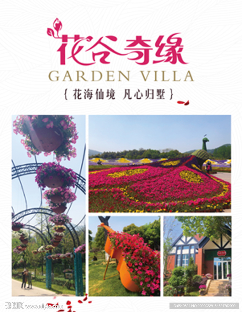 金坛茅山花谷奇缘