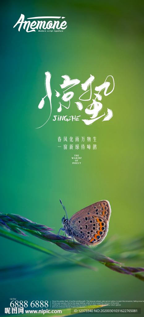 惊蛰