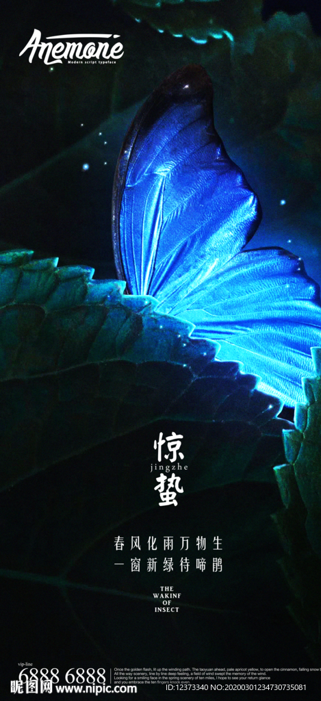 惊蛰