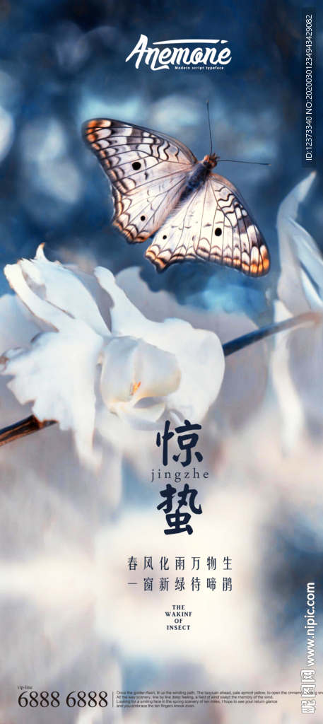 惊蛰