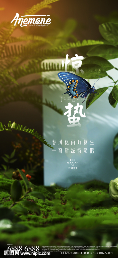 惊蛰