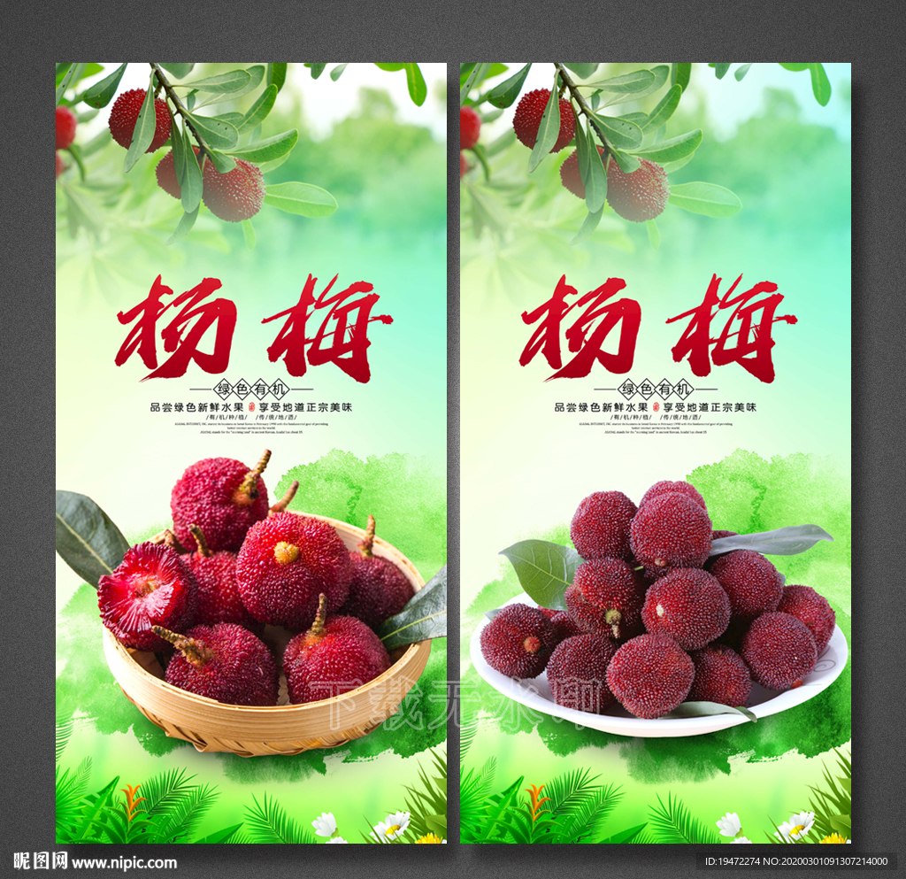 杨梅海报