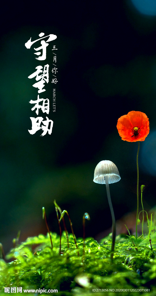 守望