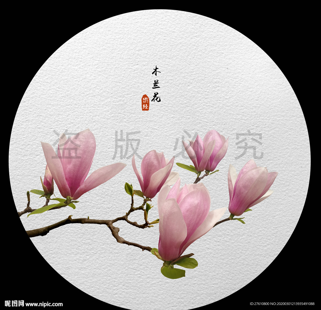 木兰花