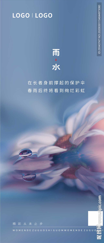 花 雨水  盛开  生命