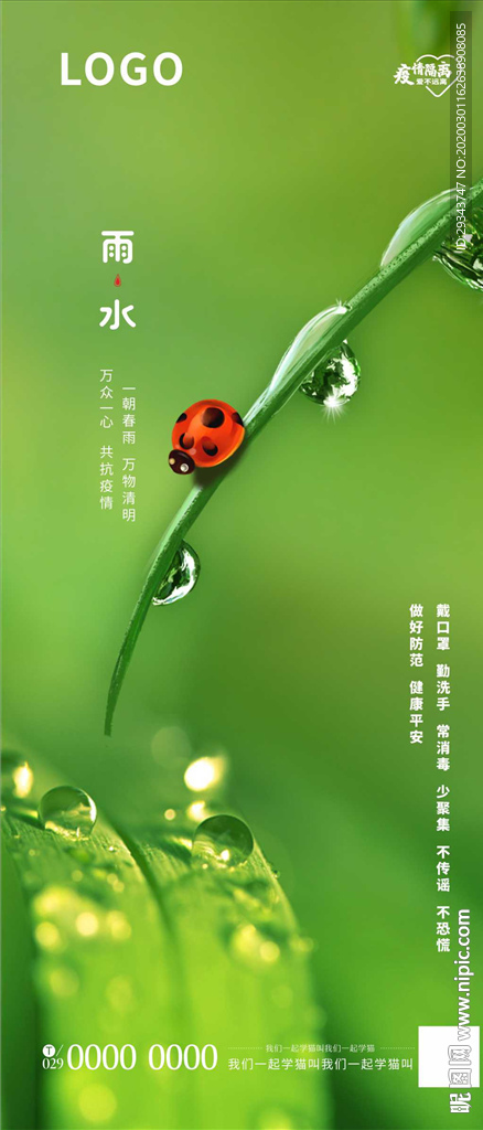 露珠  叶子  生命  阳光