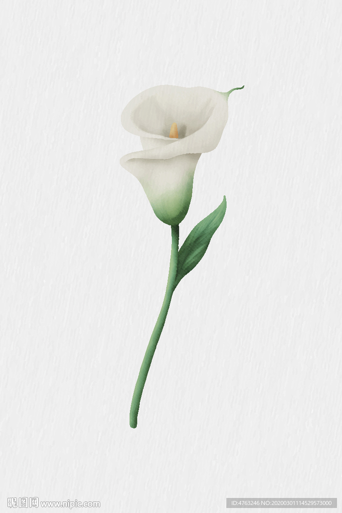 百合