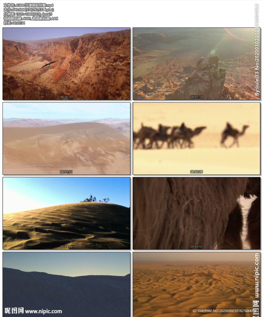 沙漠骆驼伴奏led背景