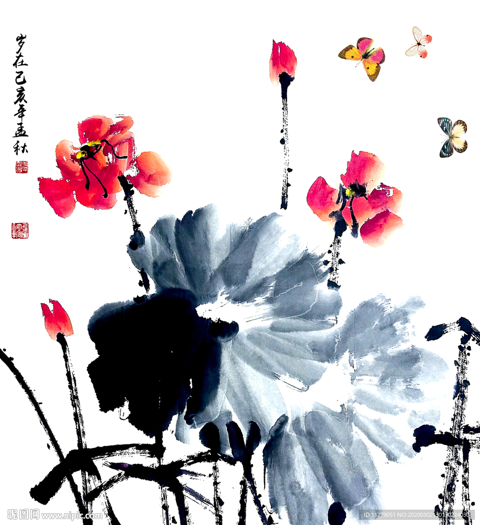 荷花