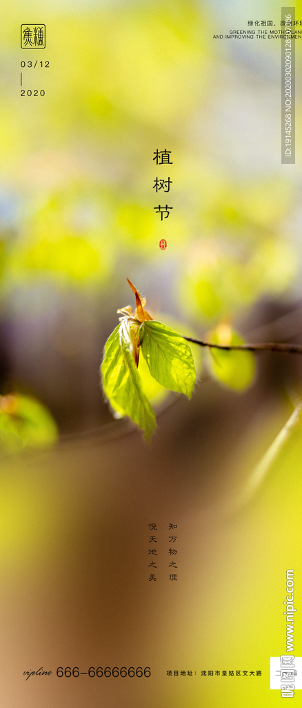 植树节