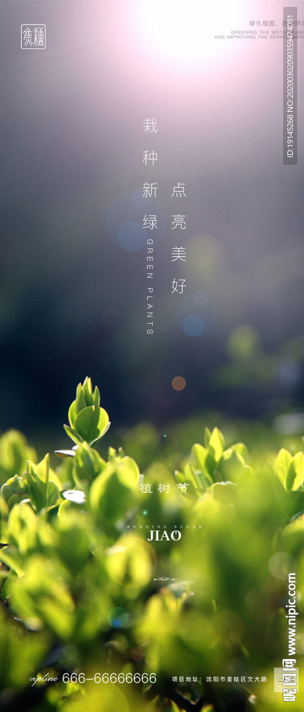 植树节