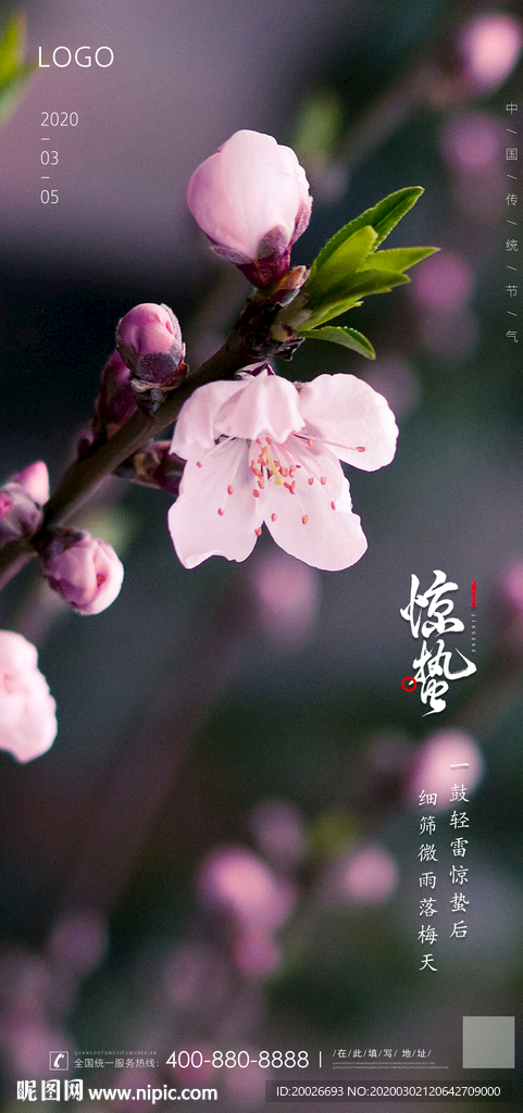 惊蛰
