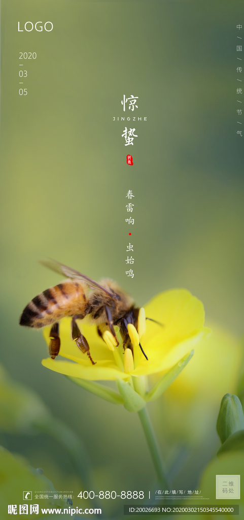 惊蛰