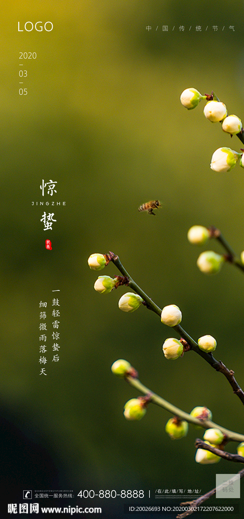 惊蛰