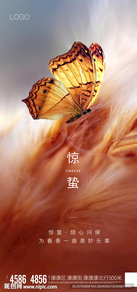 惊蛰