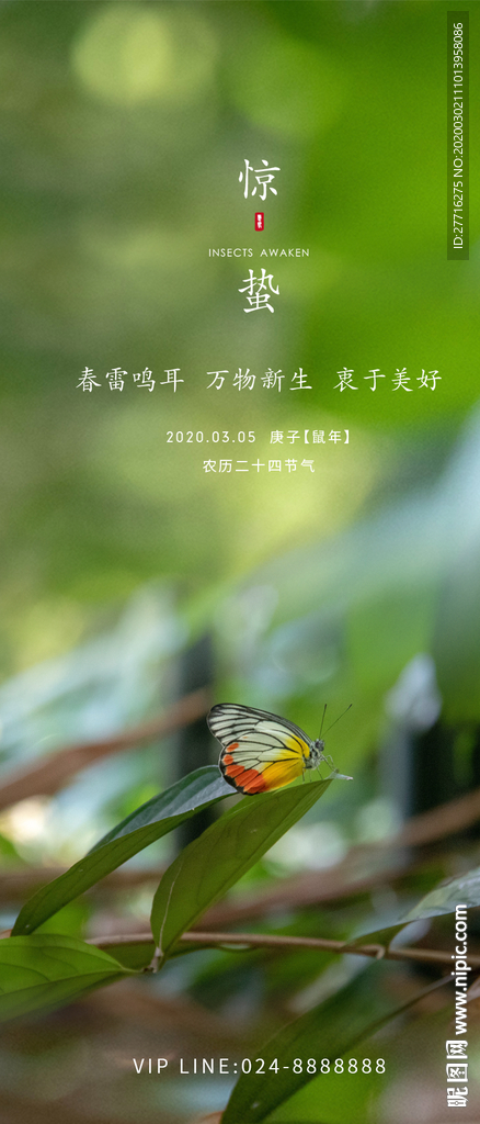 惊蛰海报