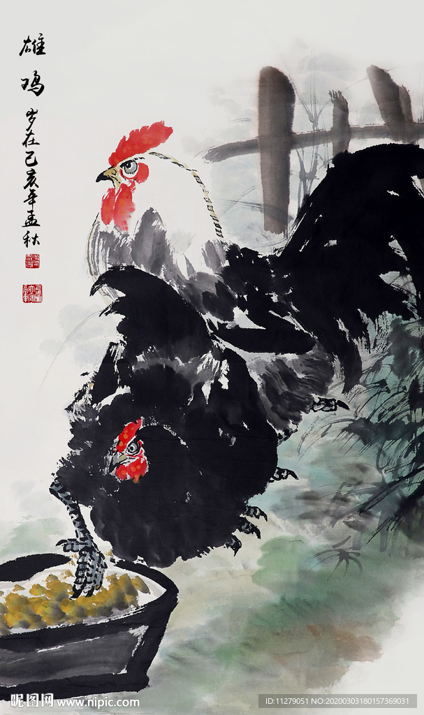 公鸡