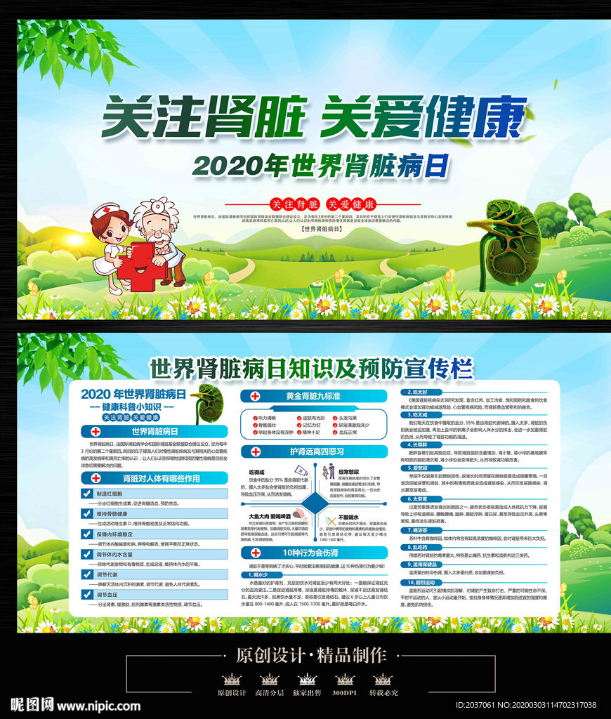 2020年世界肾脏病日