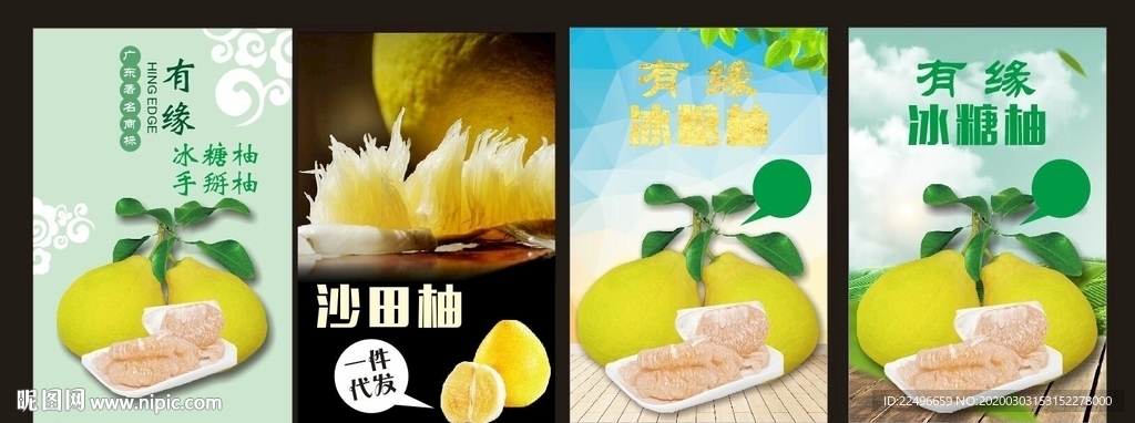 柚子 红心柚子 沙田柚 红柚