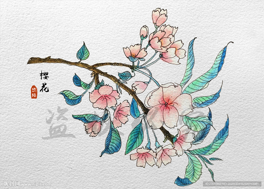 彩绘樱花