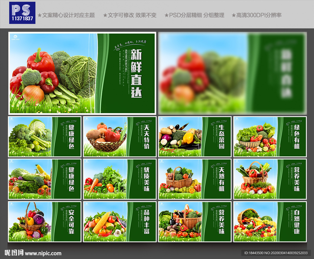蔬菜