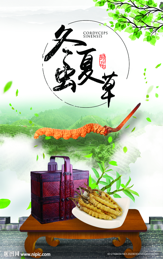 冬虫夏草海报