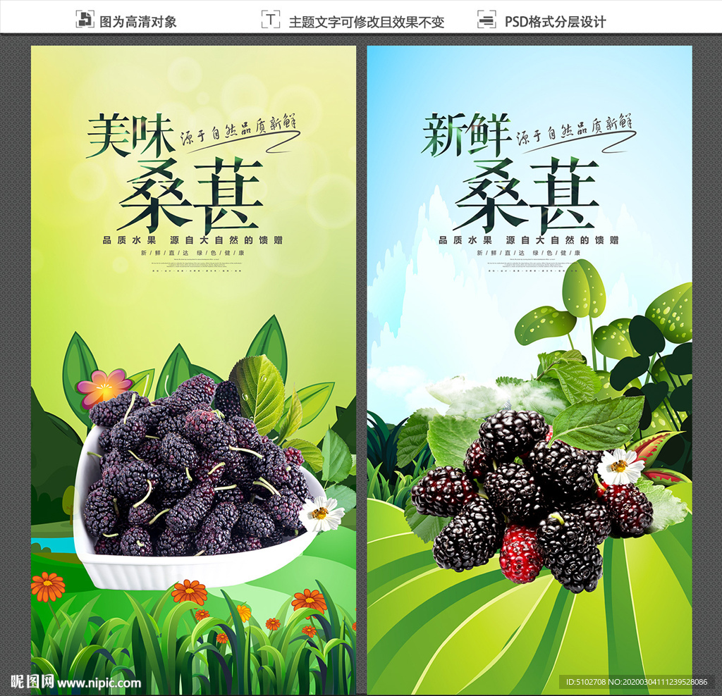 桑葚
