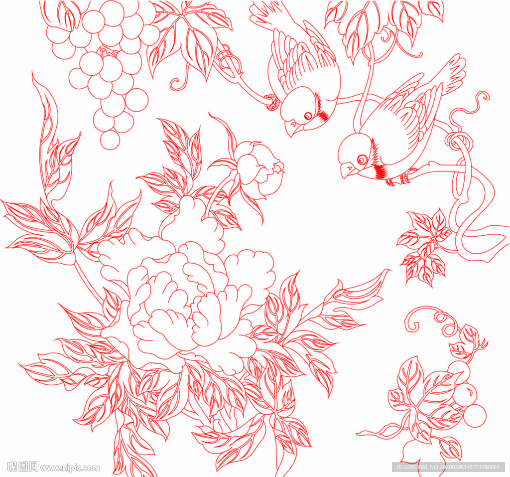 牡丹 花鸟 线条牡丹花鸟 线条