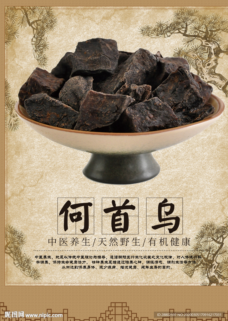 何首乌