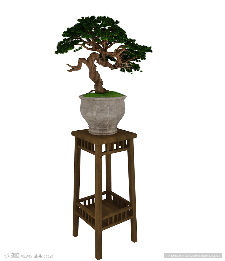 榕树植物盆栽3d模型