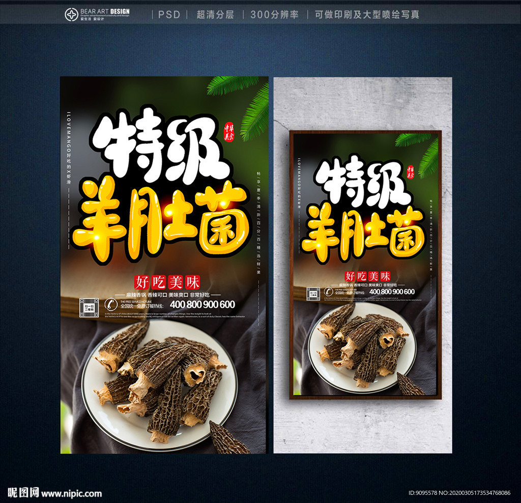羊肚菌
