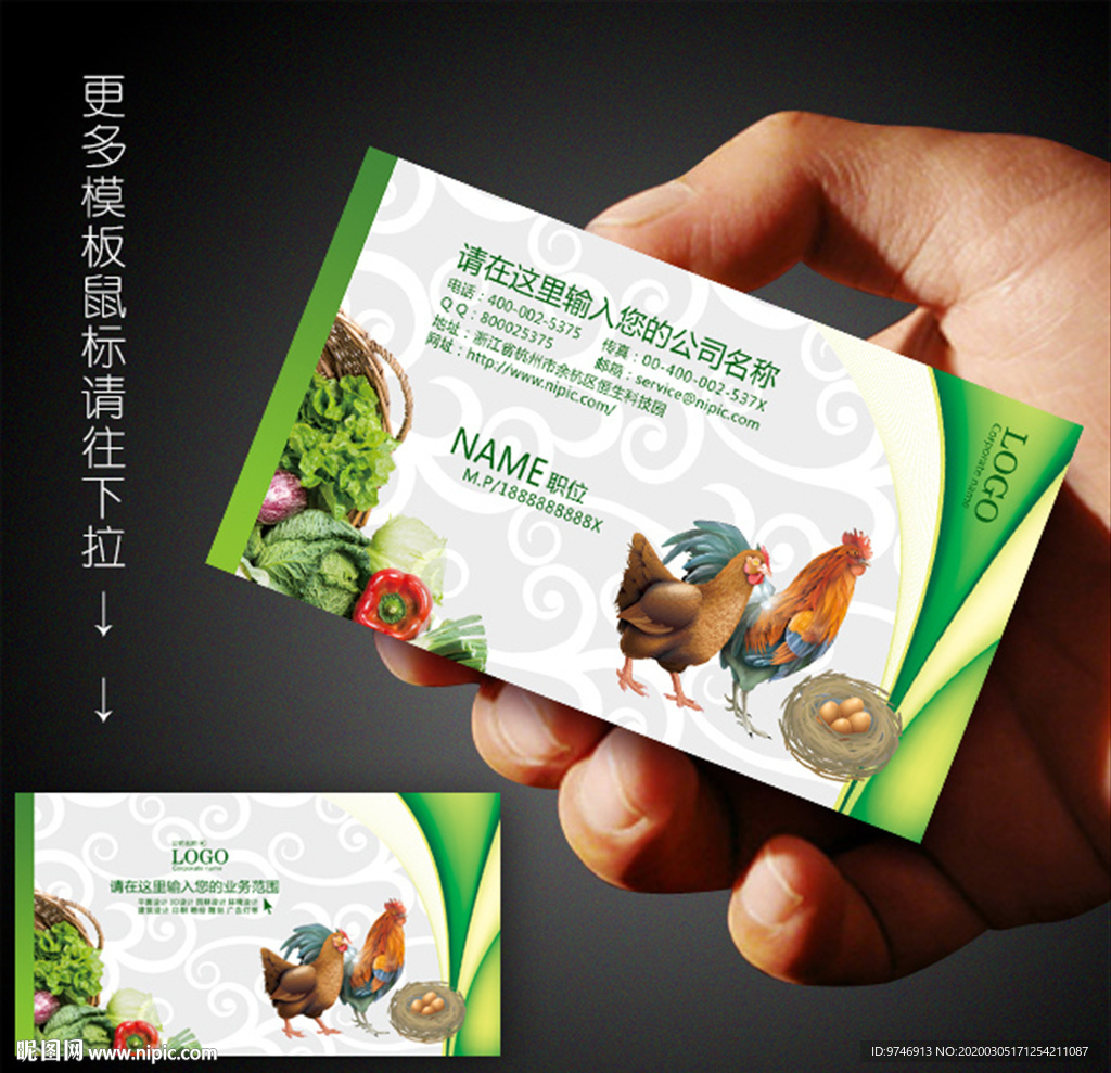 鸡名片