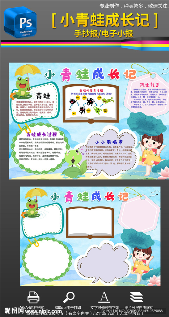 观察日记青蛙科普小报手抄报