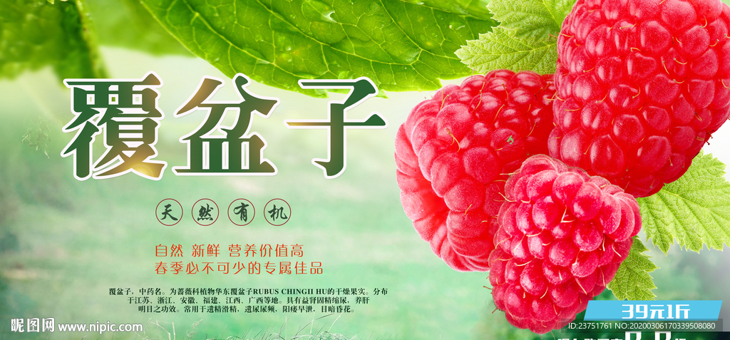 覆盆子海报