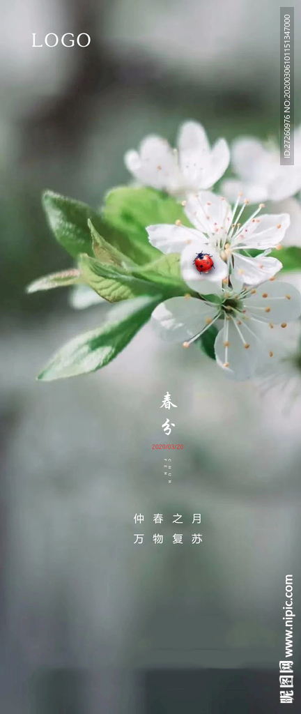春分节气单图地产