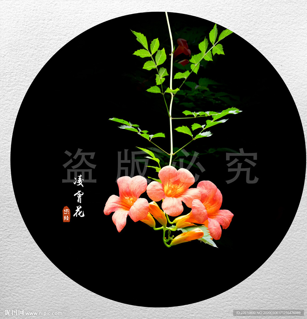 凌霄花