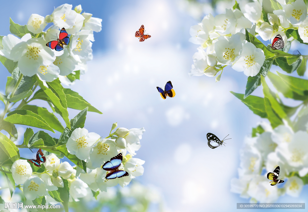 美丽花朵蝴蝶蓝天白云吊顶图