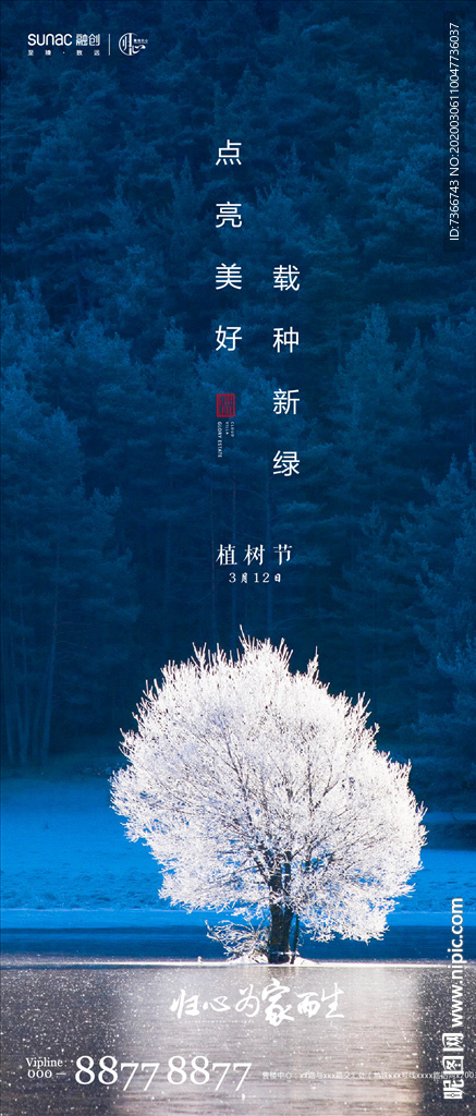 植树节 春分