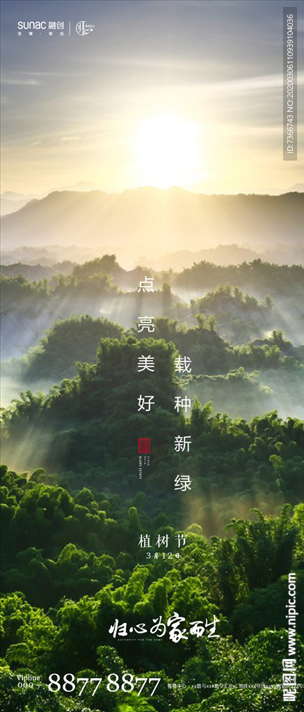植树节 春分