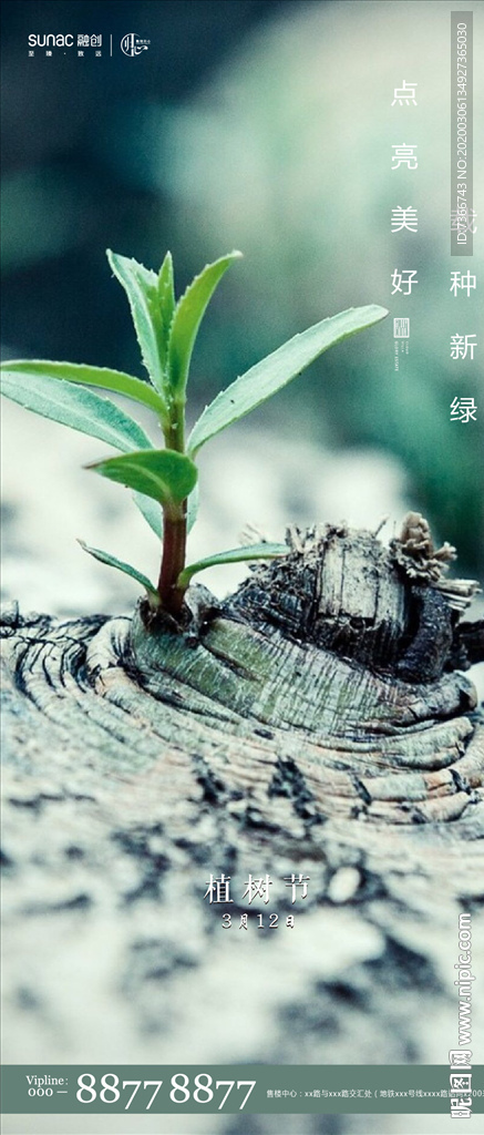 植树节 春分