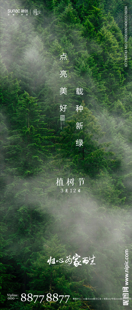 植树节