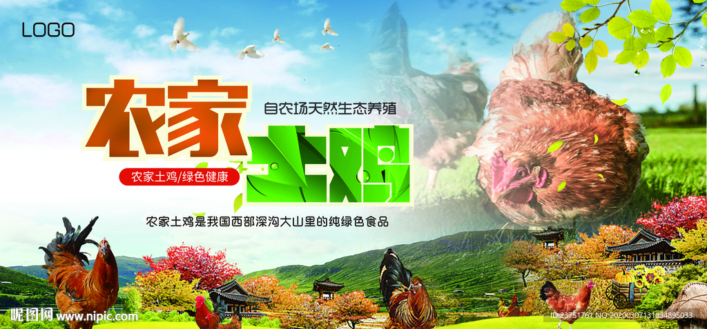 农家土鸡