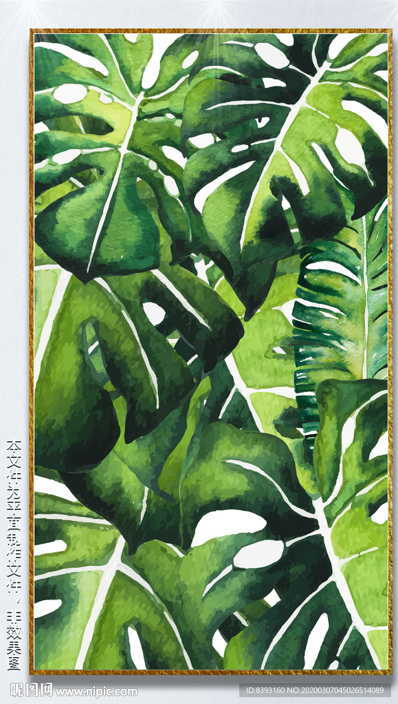 龟背竹插画
