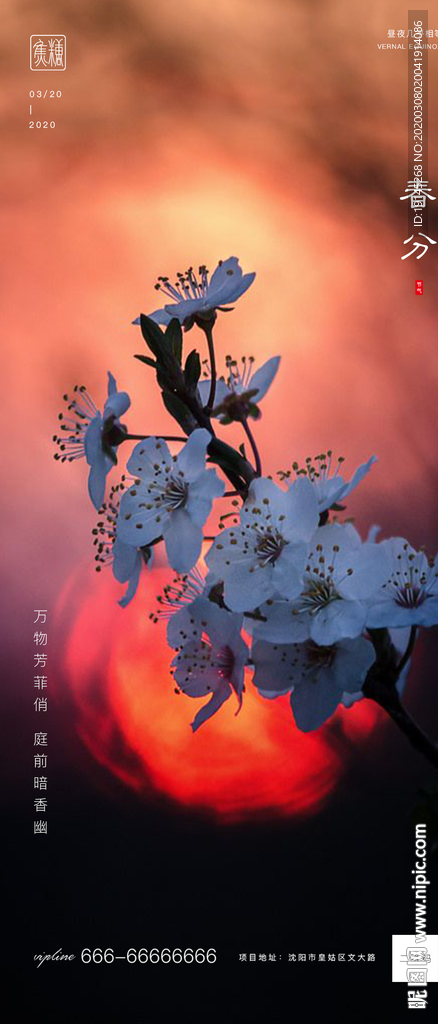 春分