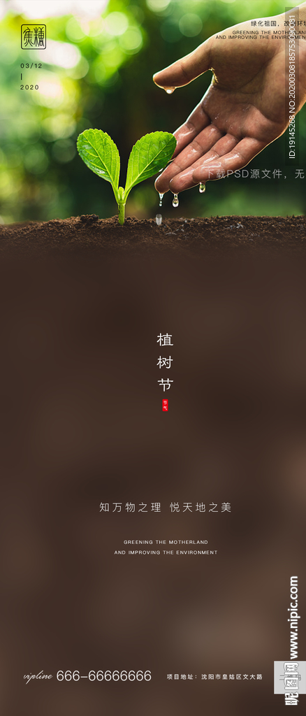 植树节