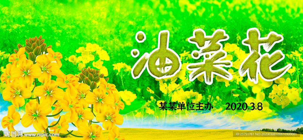油菜花