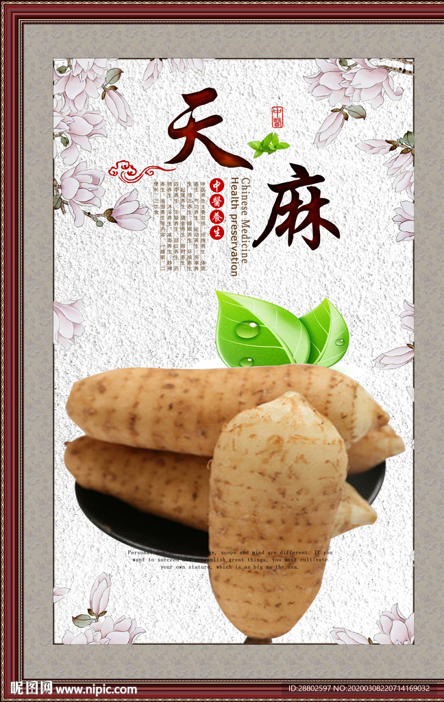 天麻