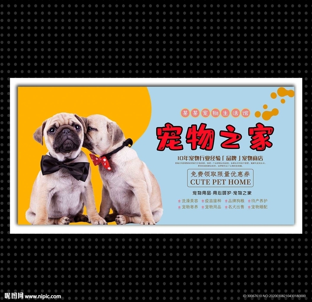 宠物之家