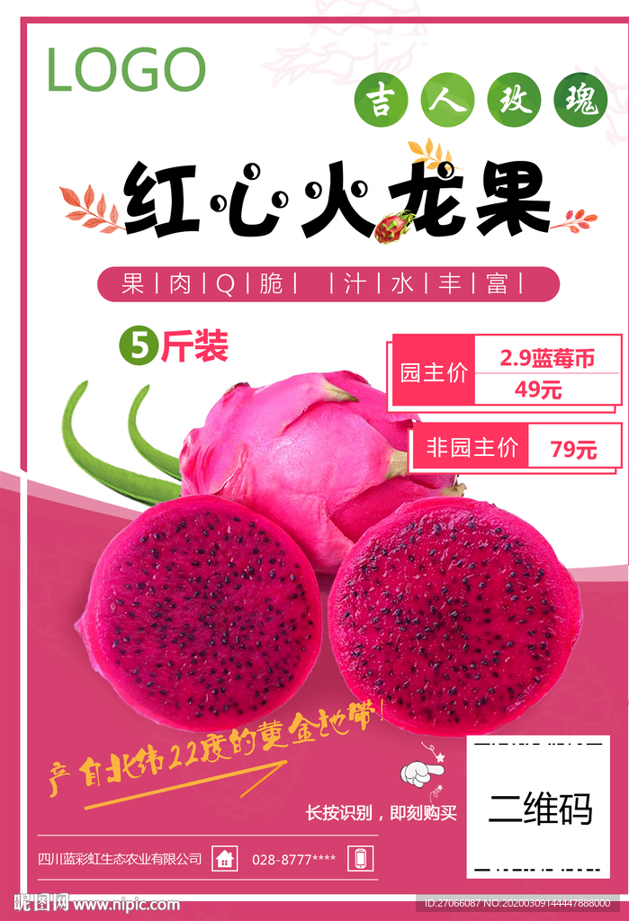 火龙果海报